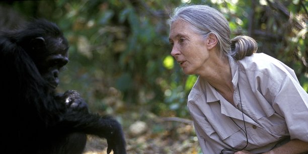 Rencontre avec la célèbre primatologue Jane Goodall